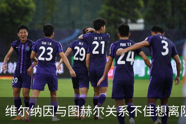 维尔纳因与图赫尔关系不佳想离队 蓝军也想送走他